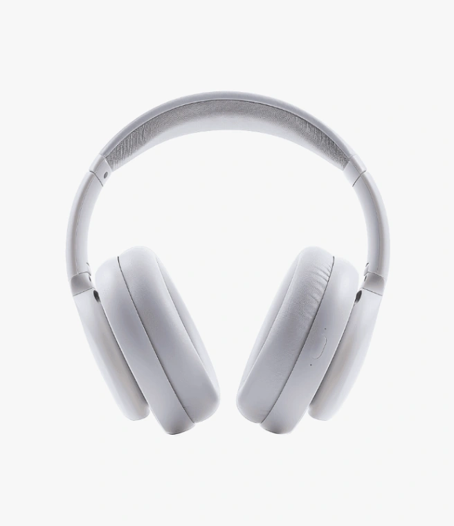 Headphones W-99